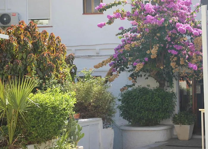 Hotel Patricia Torreguadiaro