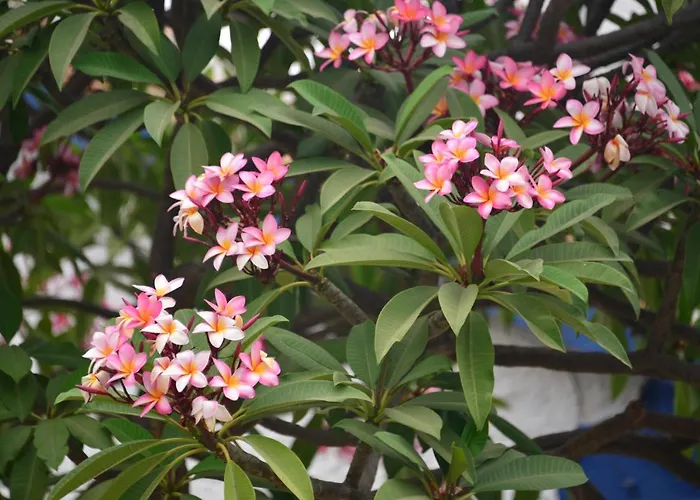 Villa's in Torremolinos