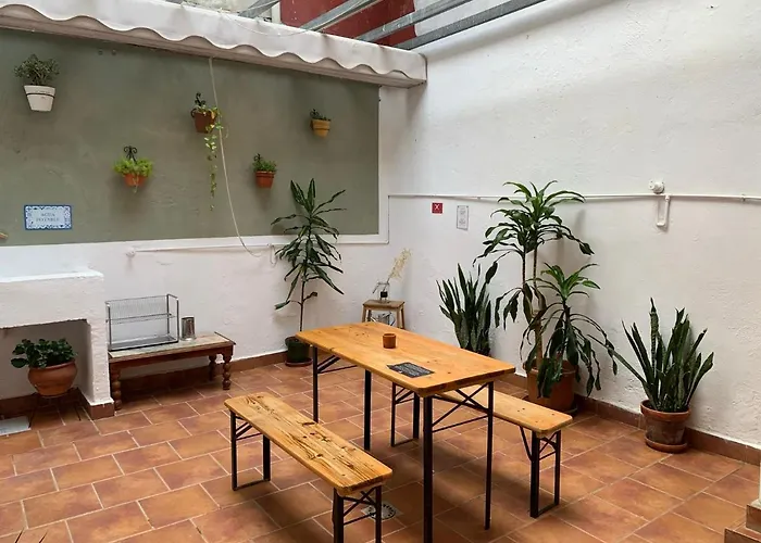 Maria Magdalena - Room 7 Málaga