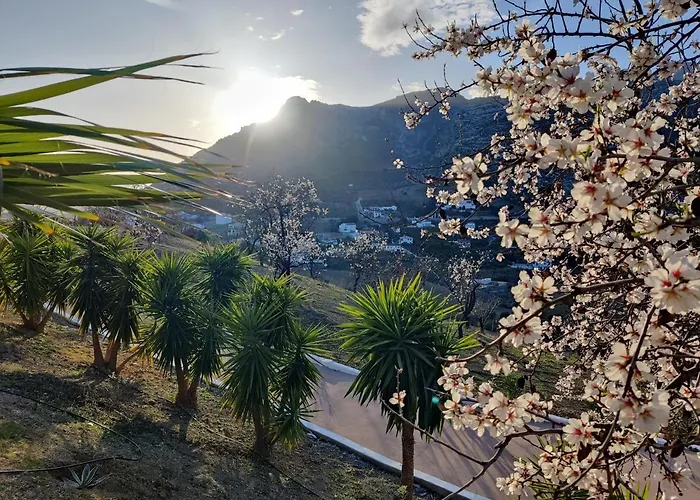 Villa's met privézwembad in Málaga