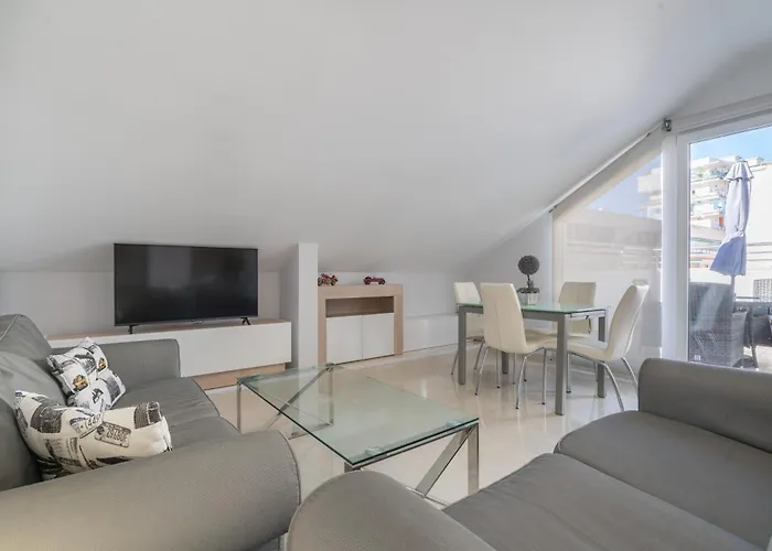 Apartamentos Castillo By Sur Suites Fuengirola che accetta animali