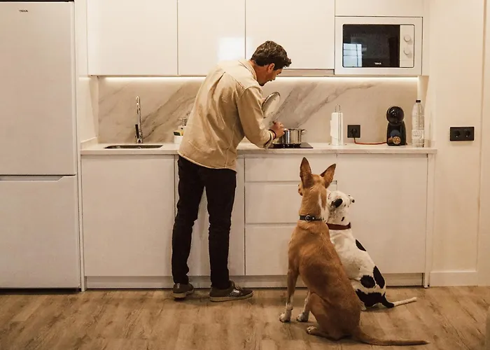 Hotel con animali ammessi a Málaga