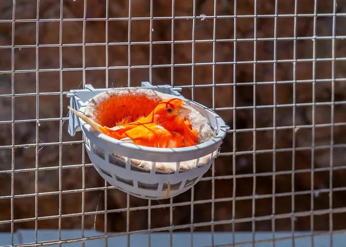 Vakantiehuizen in Málaga