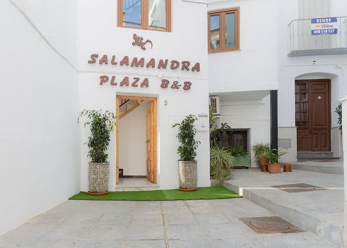 Salamandra Plaza Cómpeta