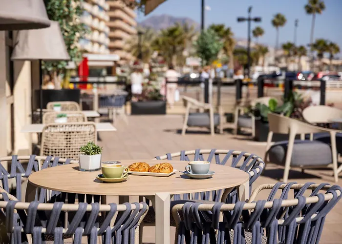 Hoteles que admiten perros en Fuengirola 