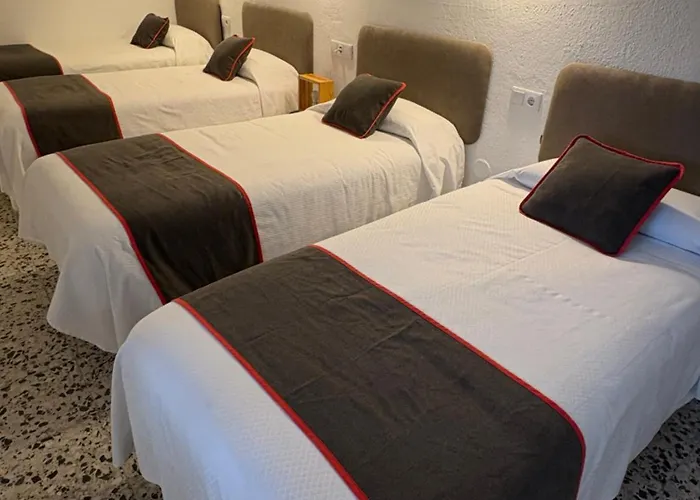 Hostal Paco Marbella aceita animais de estimação