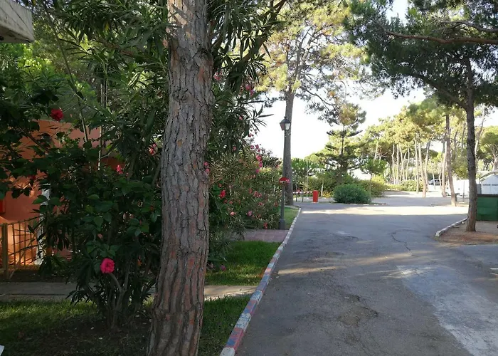 Campingplätze in Costa del Sol