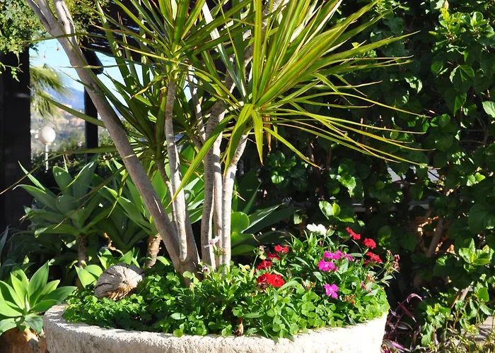 Casa Silca (Adults Only) Hotel Marbella