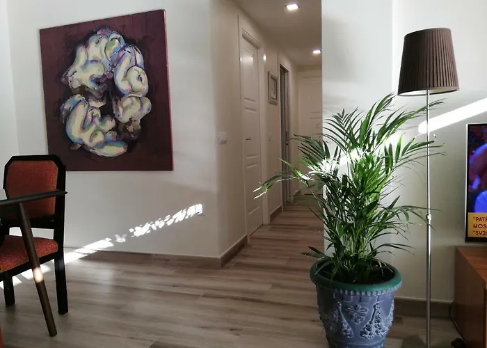 Apartamento Aurora Málaga che accetta animali