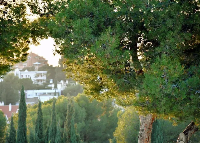 Yellow Jasper - Gemstone Getaway Marbella